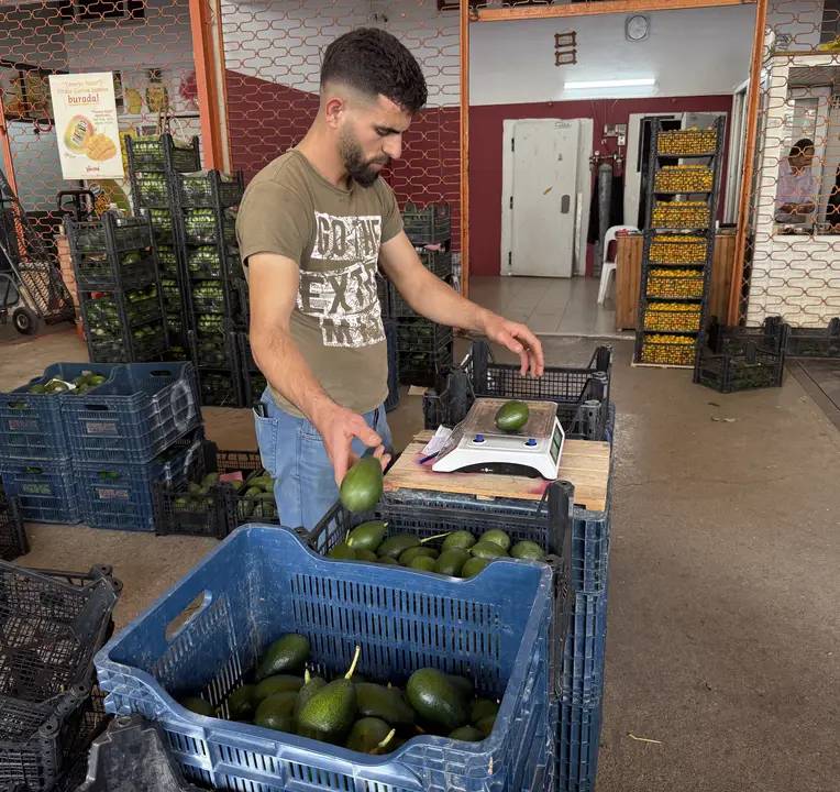 3 Bin 700 Üreticiyle Hedef 150 Milyon Adet 4